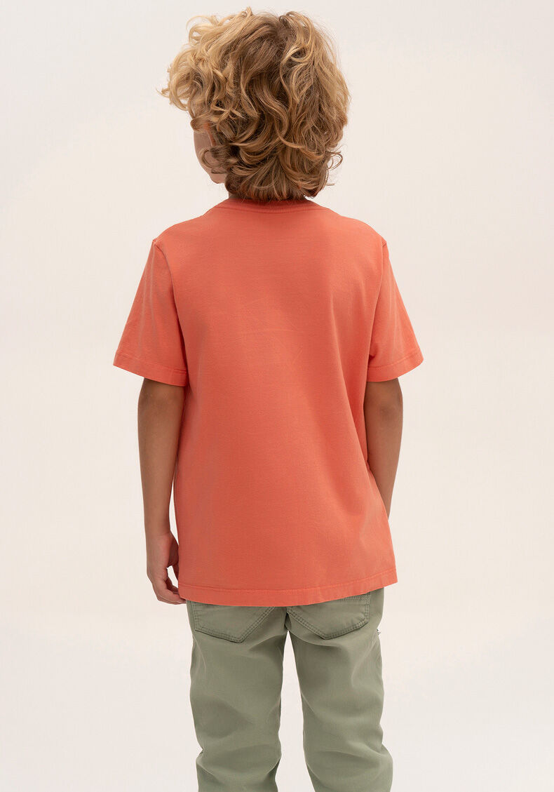 Camiseta Kids & Teens Estampada Tal Pai Tal Filho, SALMAO CITY, large.