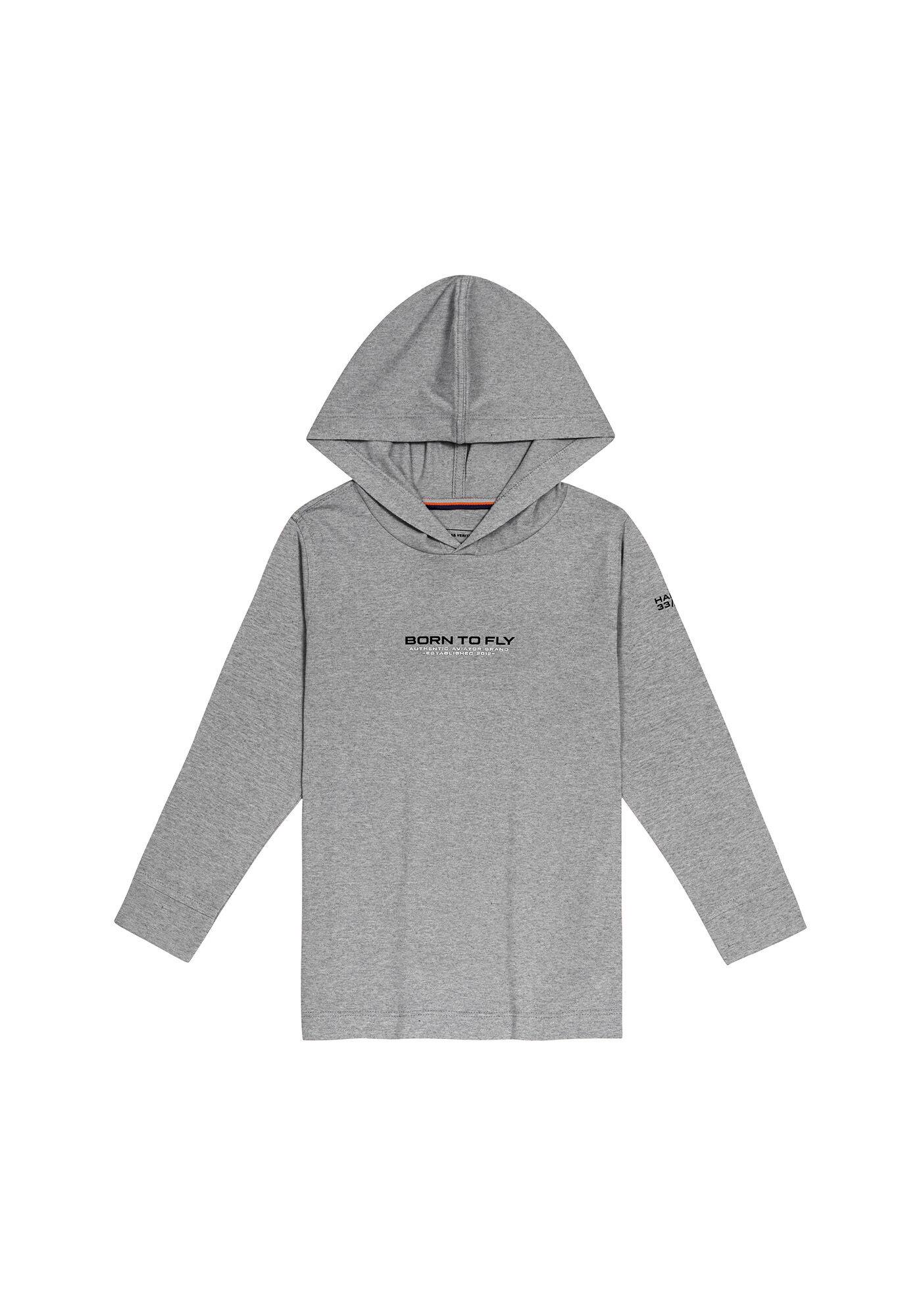 Camiseta Manga Longa Capuz, MESCLA MEDIO, large.